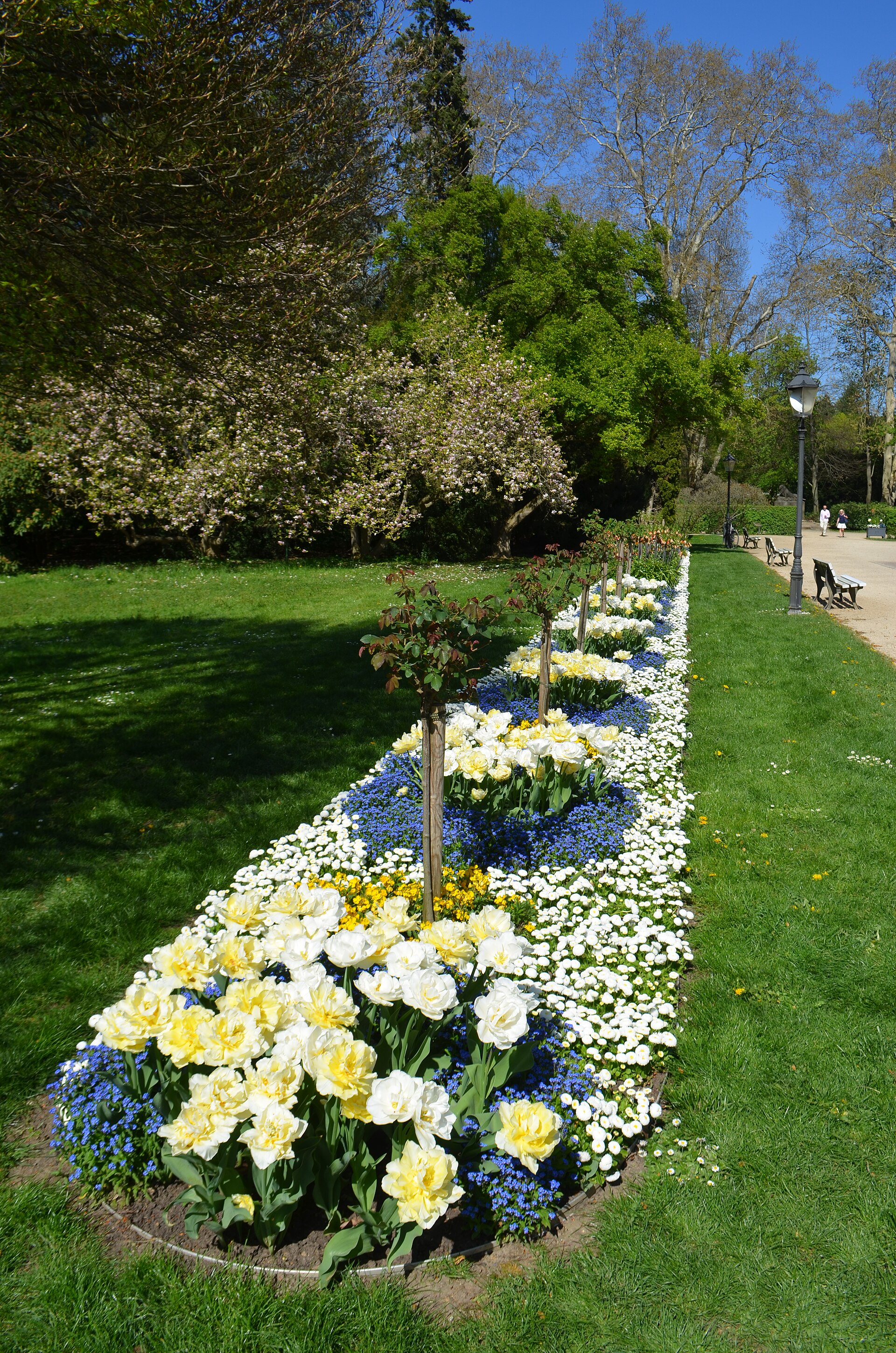 Blumenbeete im Bad Homburger Kurpark