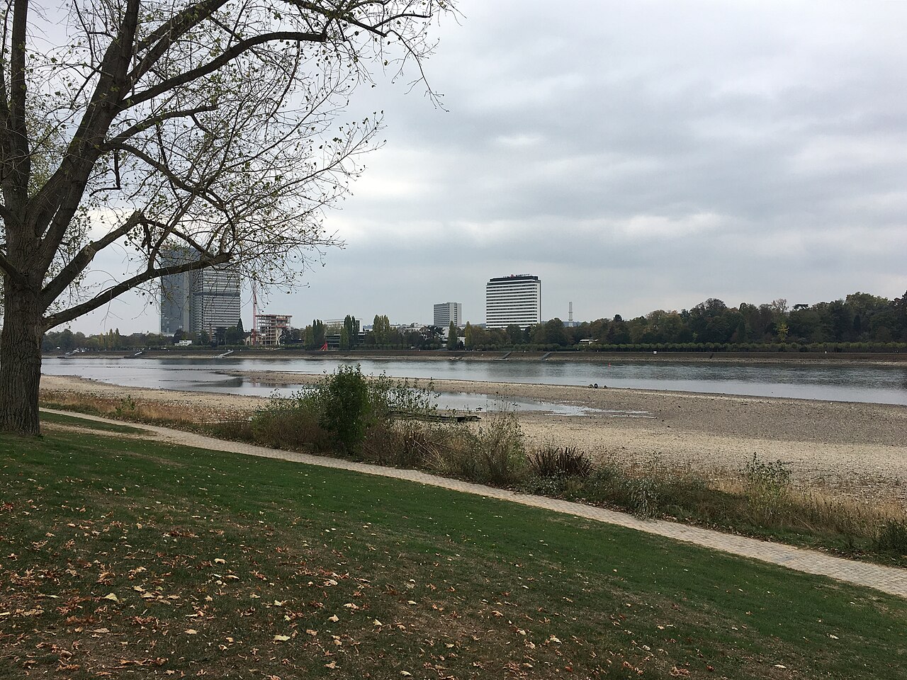 Rheinufer in Bonn mit Blick über den Rhein