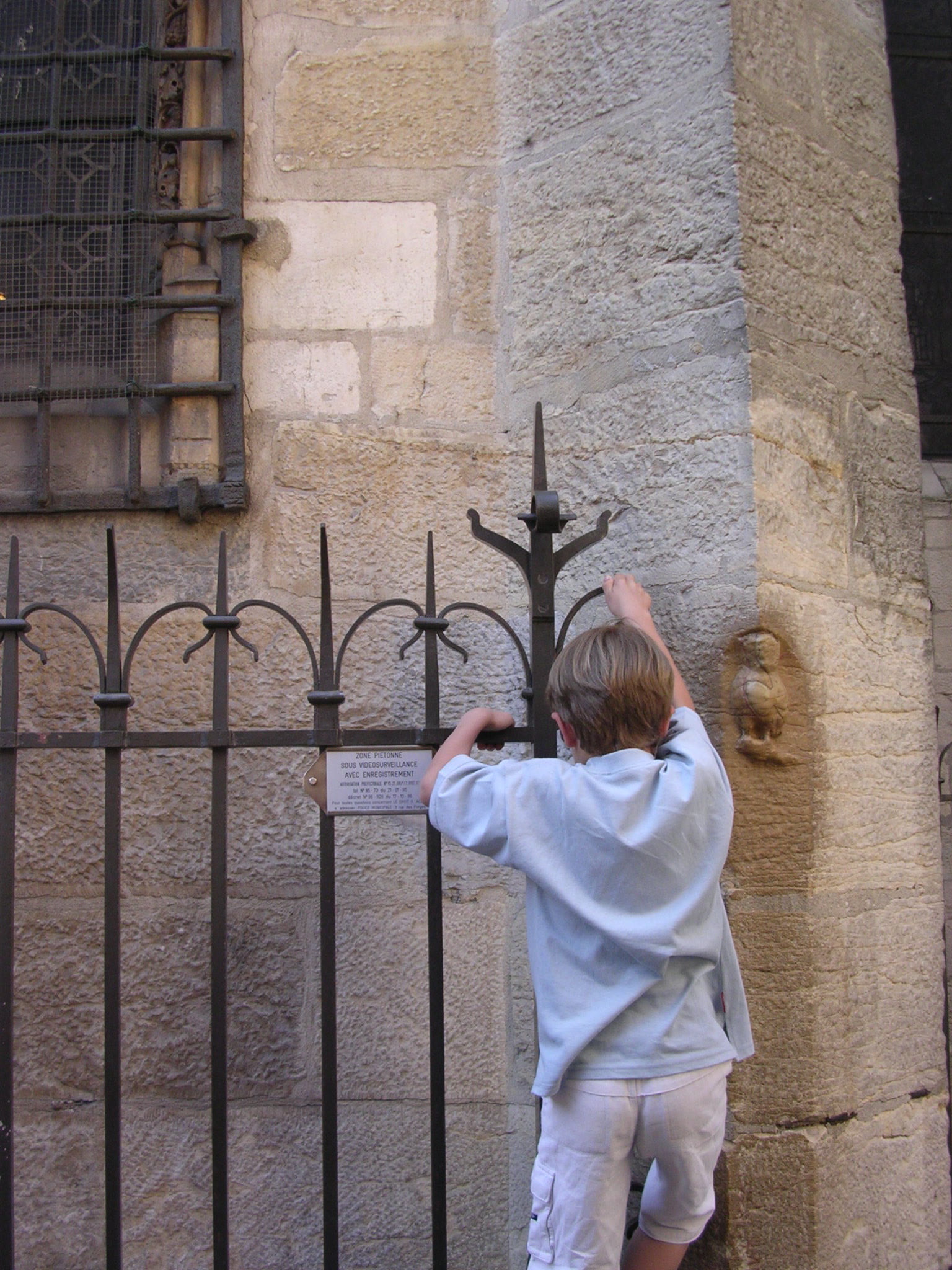 Die steinerne Eule La Chouette an Notre-Dame in Dijon
