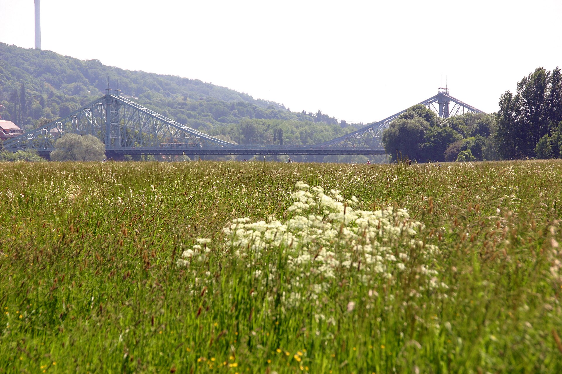 Blaues Wunder Brücke Dresden Loschwitz Blasewitz