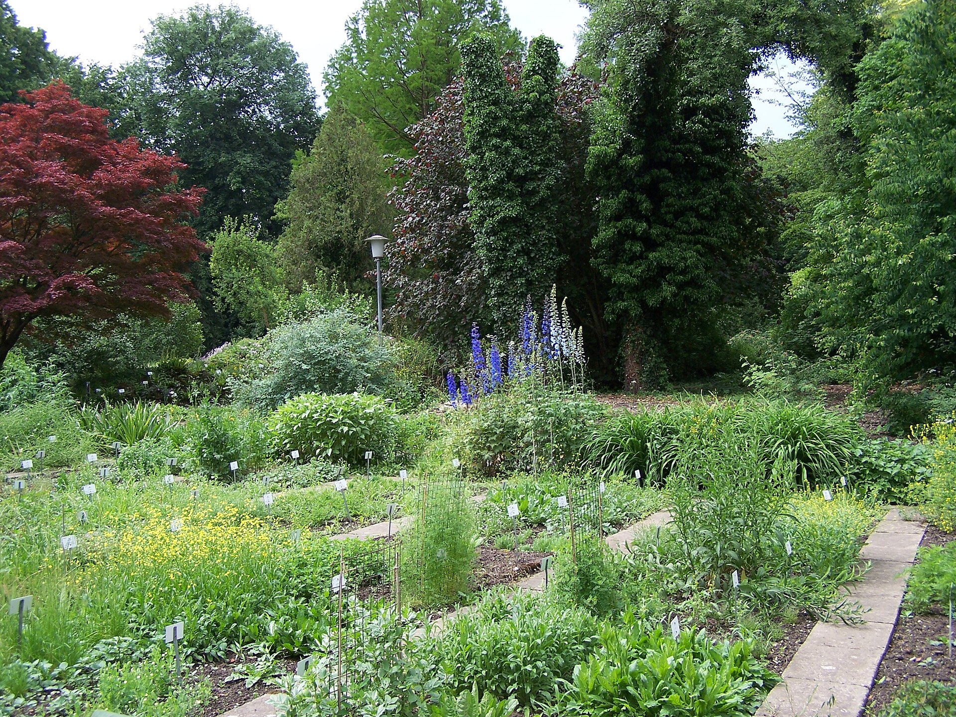 Alter Botanischer Garten der Universität Göttingen