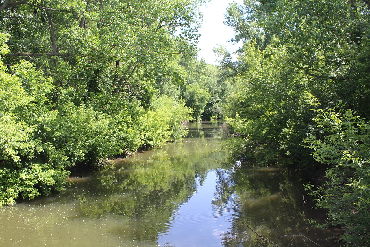 Wilde Saale an der Peißnitzinsel in Halle an der Saale