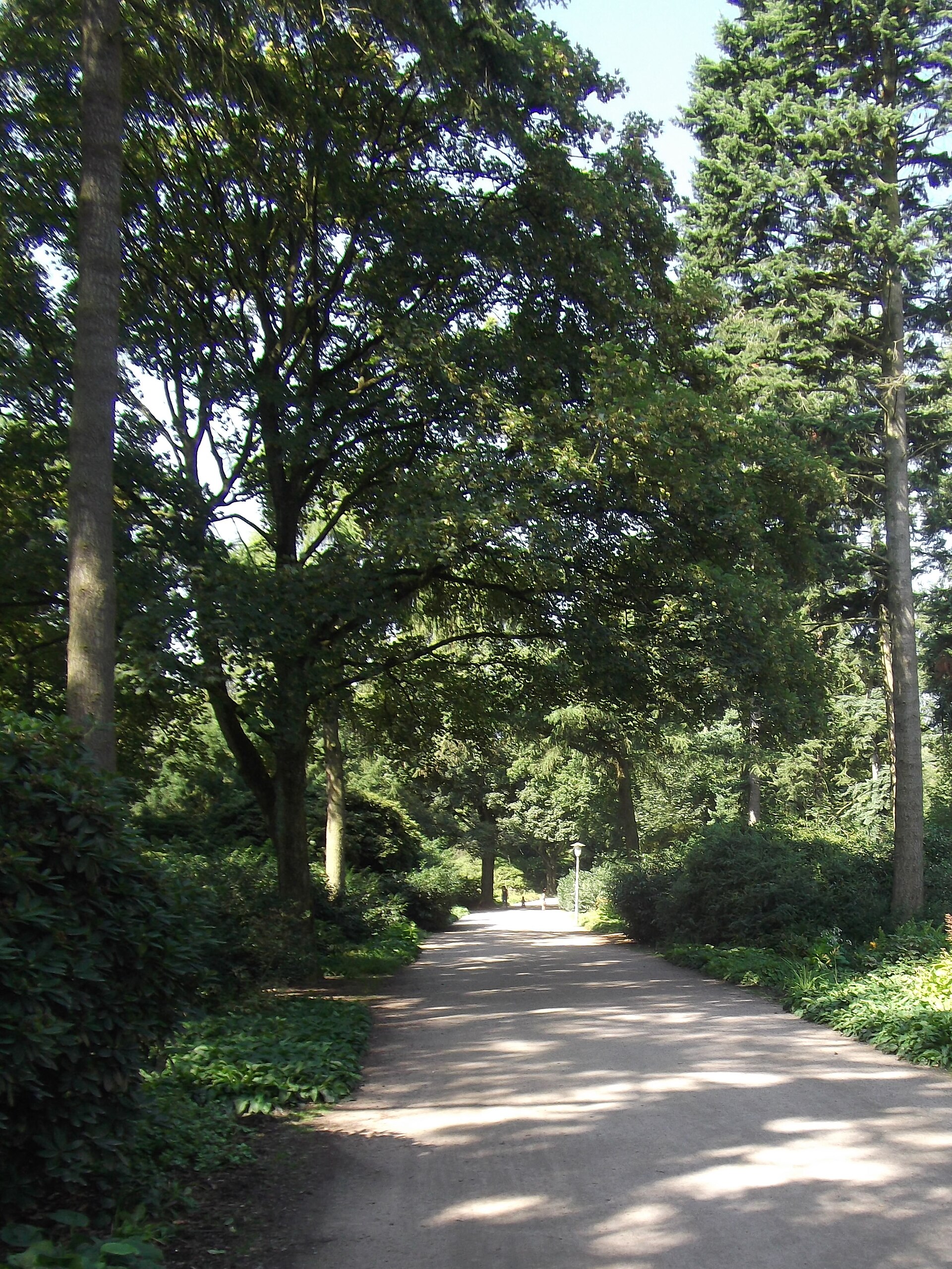 Stadtpark Hamburg Grünanlage