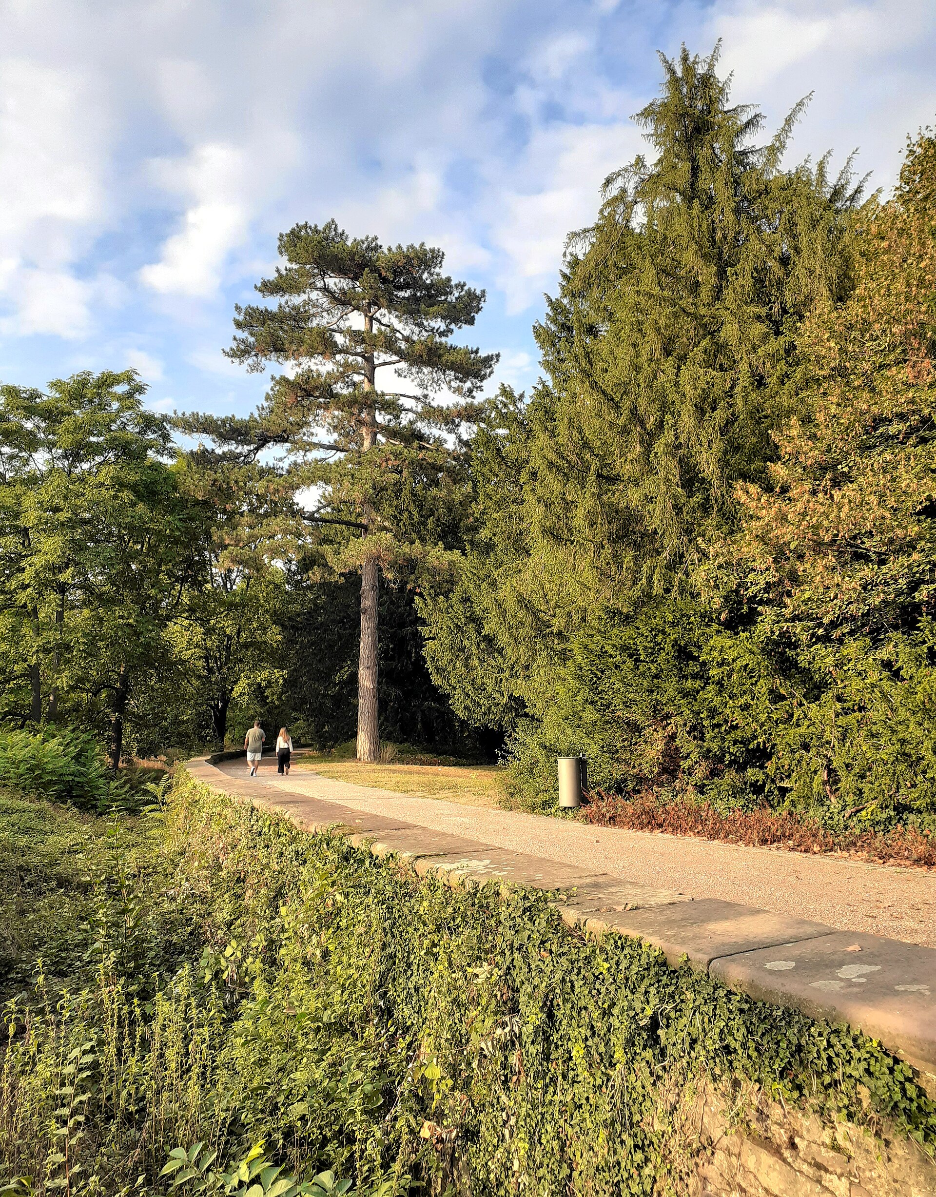 Schlossgarten Karlsruhe mit Wegen und Grün