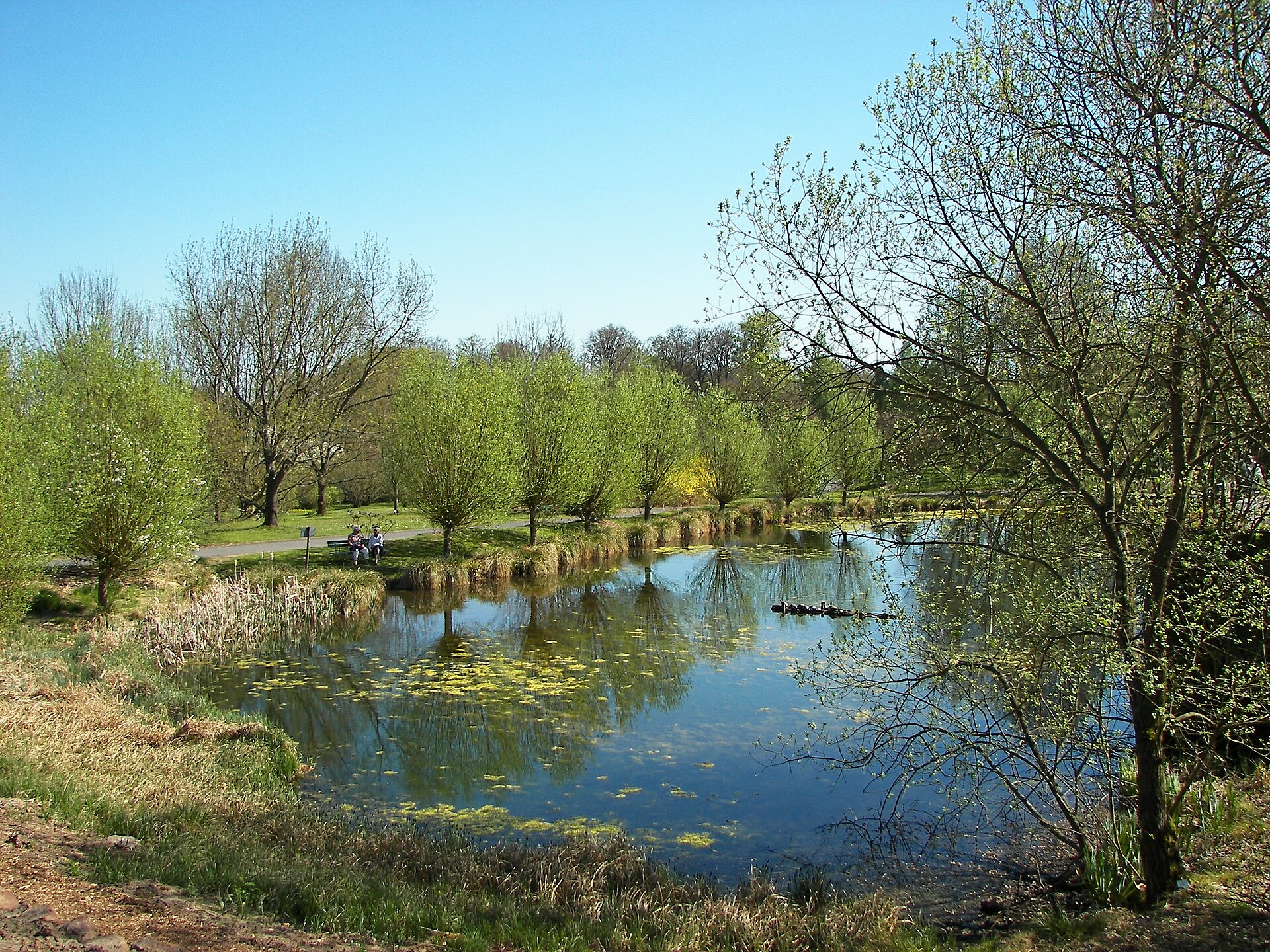 Teich im Neuen Botanischen Garten Marburg