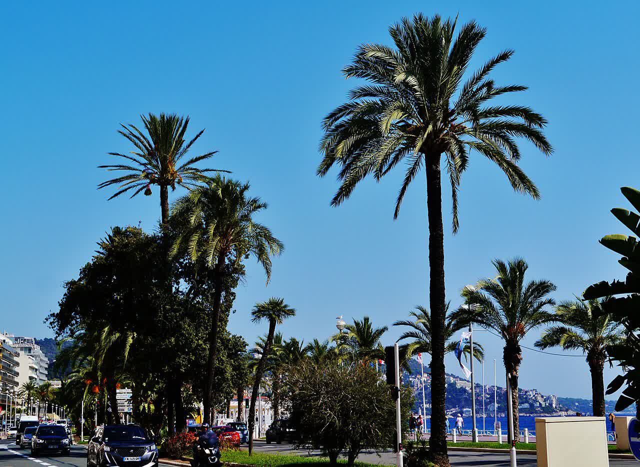 Promenade des Anglais und Strandkulisse in Nizza