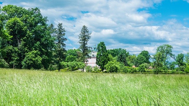 Moritzburg Wald Landschaft