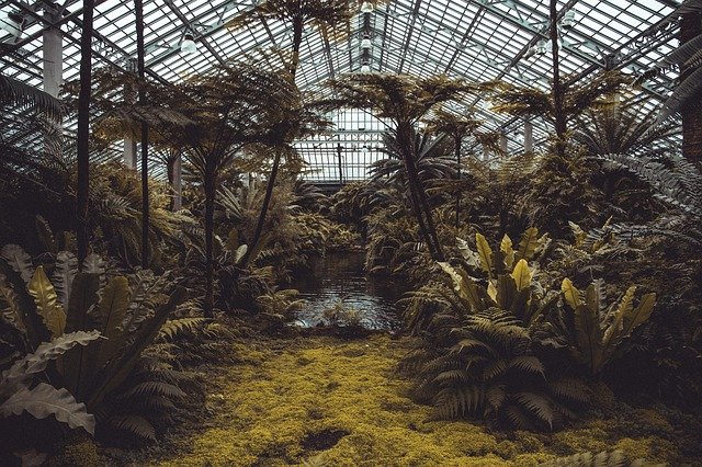 Es lohnt sich den botanischen Garten in Marburg zu besuchen