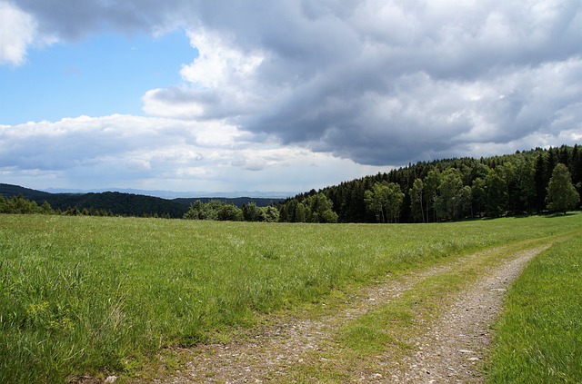 Wanderweg im Erzgebirge