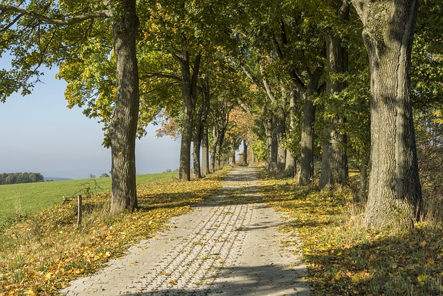 Im Erzgebirge gibt es viele tolle Radwege.