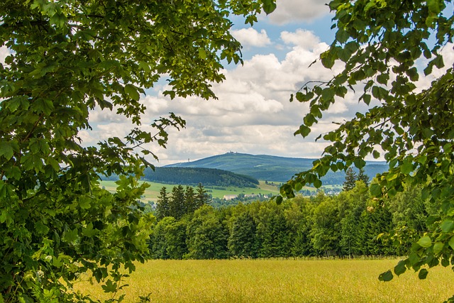 Der Fichtelberg im Erzgebirge
